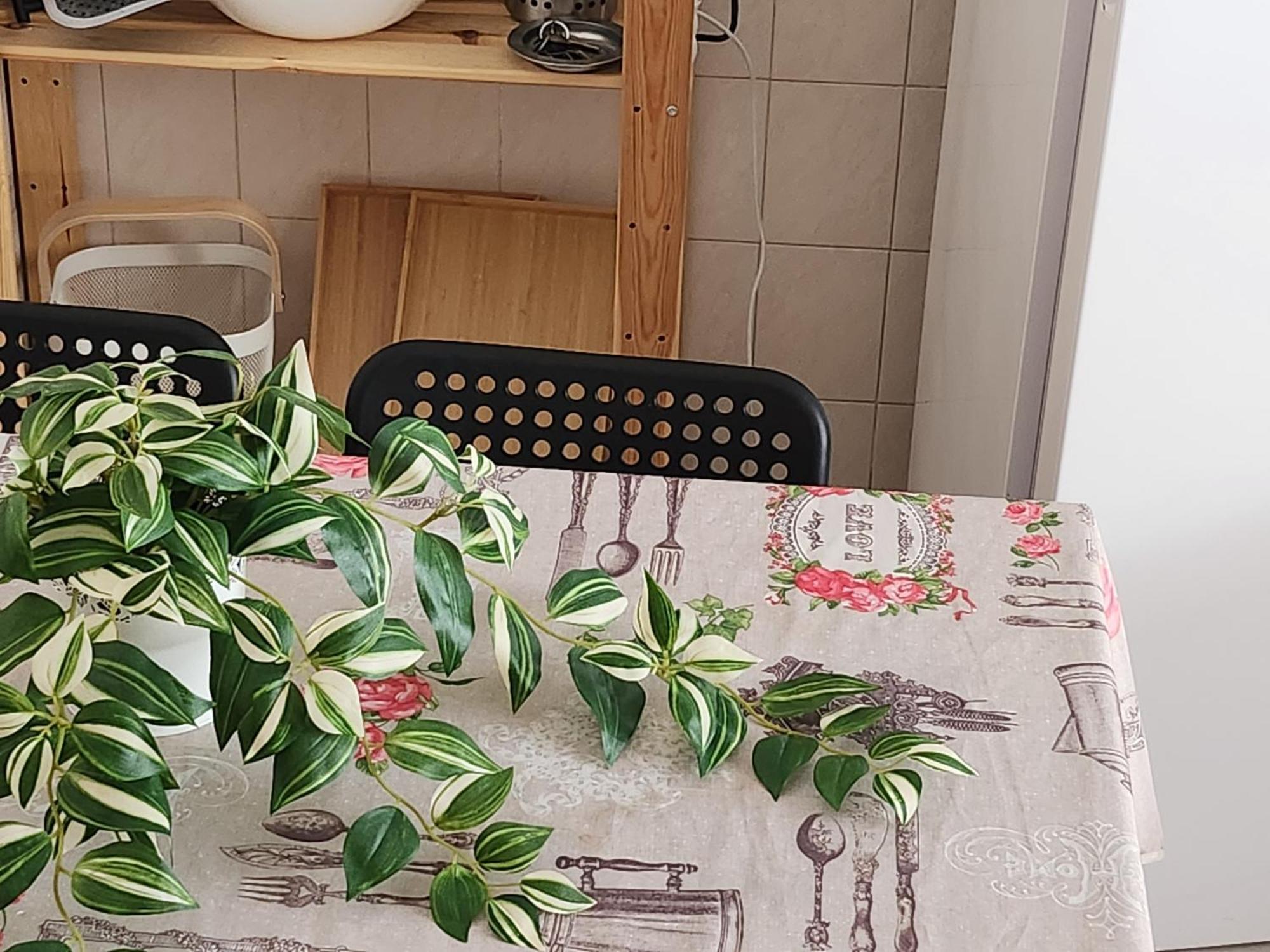 アレシフェCasa Gara Isabelアパートメント エクステリア 写真